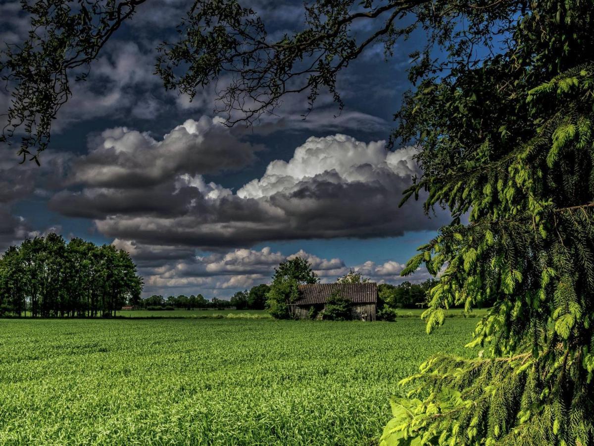 Staying In A Thatched Barn With Bedroom Achterhoek Geesteren  Экстерьер фото